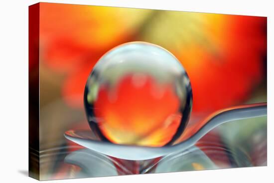 Catching Colors on a Spoon-Heidi Westum-Premier Image Canvas