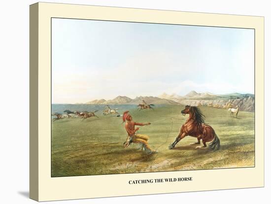 Catching The Wild Horse-George Catlin-Stretched Canvas