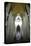 Catedral da Se, Sao Paulo, Brazil, South America-Yadid Levy-Premier Image Canvas