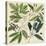 Catesby Leaf Quadrant I-Mark Catesby-Stretched Canvas