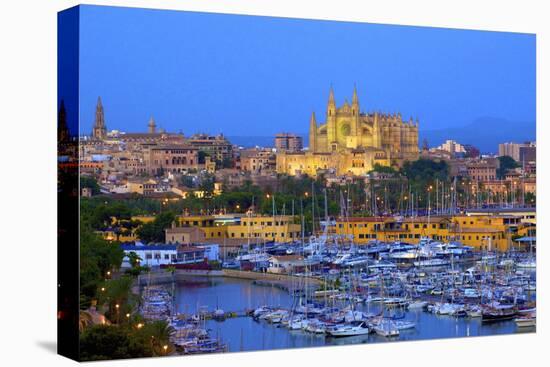 Cathedral and Harbour, Palma, Mallorca, Spain, Europe-Neil Farrin-Premier Image Canvas