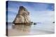 Cathedral Cove, Coromandel Peninsula, Waikato, North Island, New Zealand, Pacific-Ian-Premier Image Canvas