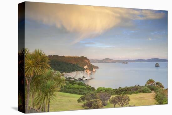 Cathedral Cove Marine Reserve (Te Whanganui-A-Hei) at Sunrise-Ian-Premier Image Canvas