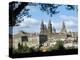 Cathedral from the Park, Santiago De Compostela, Unesco World Heritage Site, Galicia, Spain-Adam Woolfitt-Premier Image Canvas