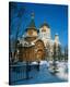 Cathedral of Christ the Saviour, Moscow, Russia-null-Stretched Canvas