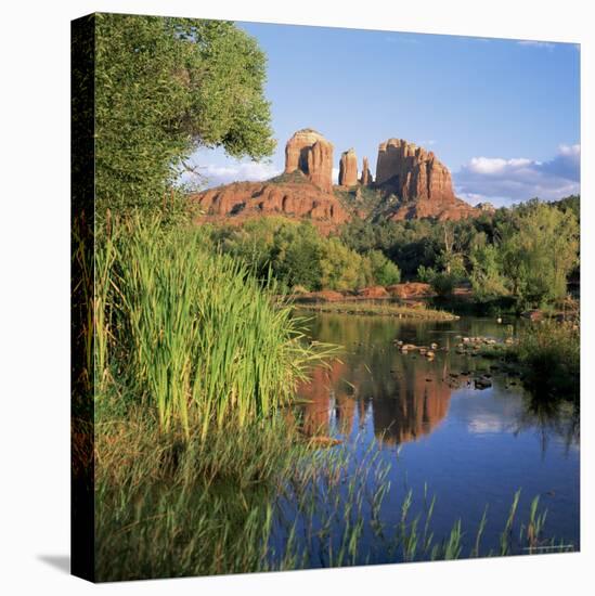 Cathedral Rock, Sedona, Arizona, United States of America (U.S.A.), North America-Tony Gervis-Premier Image Canvas