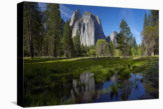 Cathedral Rocks and Pond in Yosemite Valley, Yosemite NP, California-David Wall-Premier Image Canvas