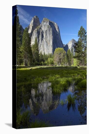 Cathedral Rocks Reflected in a Pond and Deer, Yosemite NP, California-David Wall-Premier Image Canvas