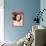 Catherine Bach-null-Stretched Canvas displayed on a wall