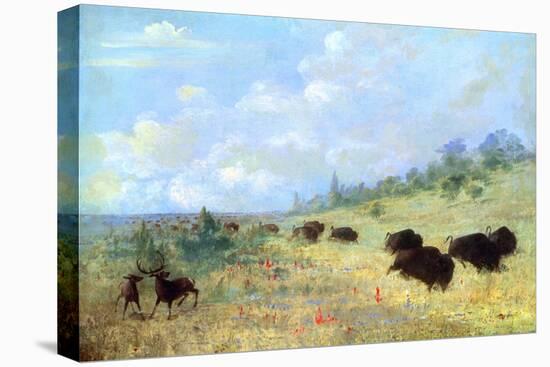 Catlin: Elk and Buffalo-George Catlin-Premier Image Canvas