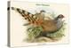 Catreus Wallachi - Cheer Pheasant-John Gould-Stretched Canvas