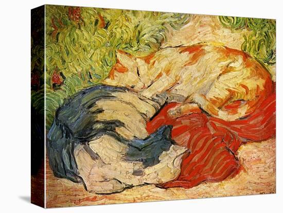 Cats, 1909-10-Franz Marc-Premier Image Canvas