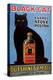Cats Black Cat Enamel Stove Polish Products, USA, 1920-null-Premier Image Canvas