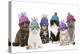 Cats, Group Wearing Woolly Hat-null-Premier Image Canvas