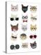 Cats with Glasses-Hanna Melin-Stretched Canvas