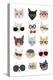 Cats with Glasses-Hanna Melin-Premier Image Canvas