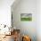 Cattails and Sky-Robert Goldwitz-Premier Image Canvas displayed on a wall