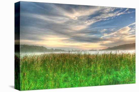 Cattails and Sky-Robert Goldwitz-Premier Image Canvas