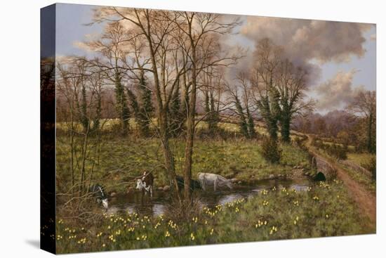 Cattle And Daffodils-Bill Makinson-Premier Image Canvas