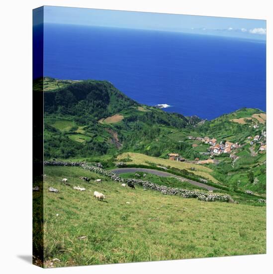 Cattle, Fields and Small Village on the Island of Flores in the Azores, Portugal, Atlantic, Europe-David Lomax-Premier Image Canvas