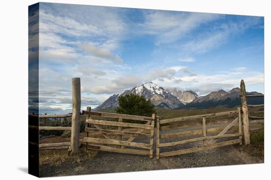 Cattle Gate-Michael Runkel-Premier Image Canvas