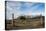 Cattle Gate-Michael Runkel-Premier Image Canvas