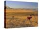 Cattle Graze Along the Rocky Mountain Front near Choteau, Montana, USA-Chuck Haney-Premier Image Canvas