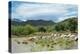 Cattle grazing, Omo Valley, between Turmi and Arba Minch, Ethiopia-Keren Su-Premier Image Canvas