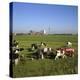 Cattle-Milking in Fields North-West of Amsterdam-CM Dixon-Premier Image Canvas