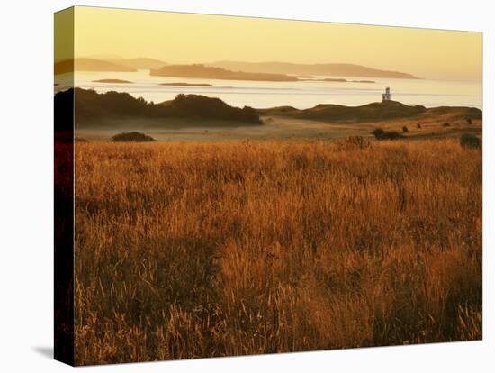 Cattle Point Lighthouse, San Juan Island National Historical Park, Washington, USA-Charles Gurche-Premier Image Canvas