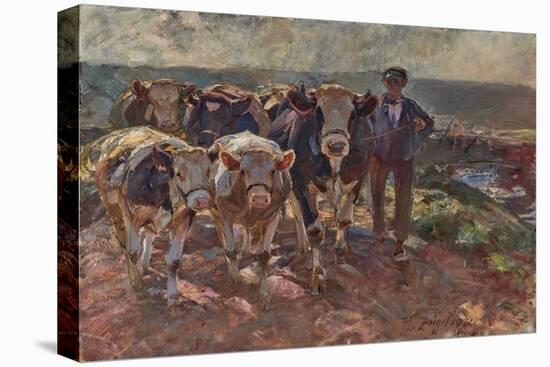 Cattle with Driver on the Island Road, 1921 (Oil on Canvas)-Heinrich Johann von Zugel-Premier Image Canvas