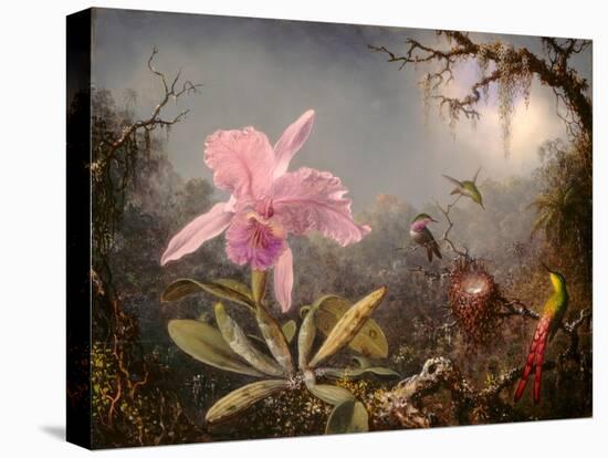 Cattleya Orchid and Three Hummingbirds, 1871 (Oil on Wood)-Martin Johnson Heade-Premier Image Canvas