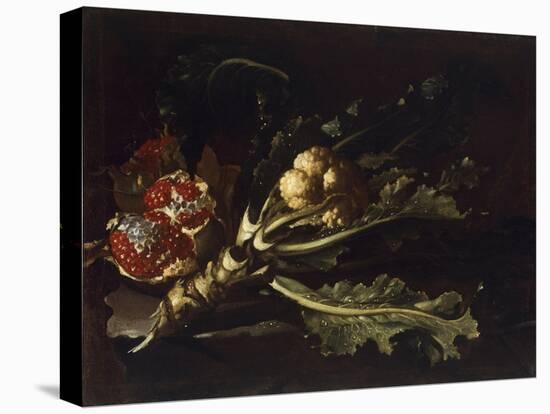 Cauliflower and Pomegranates-Pietro Paolo Bonzi-Premier Image Canvas
