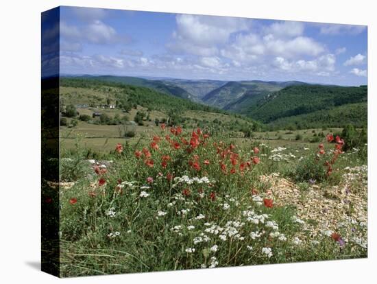 Causse Mejean, Gorges Du Tarn Behind, Lozere, Languedoc-Roussillon, France-David Hughes-Premier Image Canvas