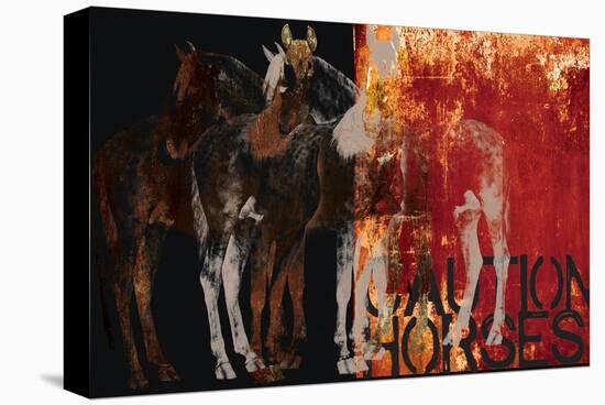 Caution Horses-Parker Greenfield-Stretched Canvas