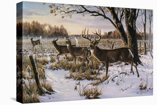 Cautious Crossing - Whitetails-Wilhelm Goebel-Premier Image Canvas