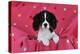 Cavalier King Charles Spaniel Puppy Sitting-null-Premier Image Canvas