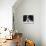 Cavalier King Charles Spaniel, Tricolour, Portrait-Petra Wegner-Premier Image Canvas displayed on a wall