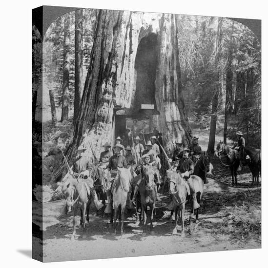 Cavalry Passing Through the Great Tree 'California, California, Usa-Underwood & Underwood-Premier Image Canvas