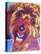 Cavapoo - Daisy-Dawgart-Premier Image Canvas