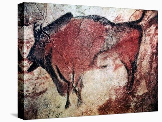 Cave Art-null-Premier Image Canvas