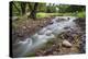 Cave Creek Flowing-Larry Ditto-Premier Image Canvas