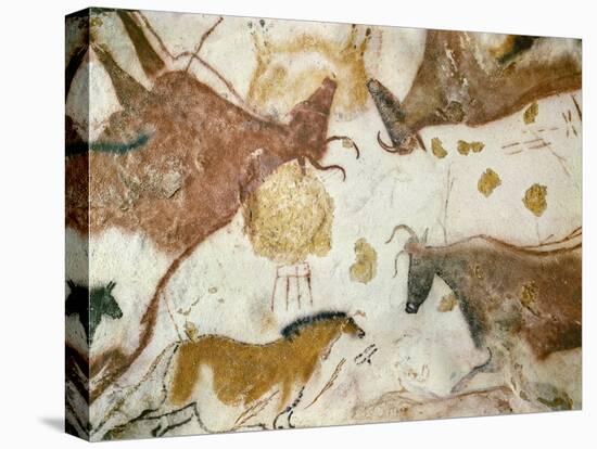 Cave of Lascaux, Ceiling of the Diverticulum: a Horse and Three Cows, C. 17,000 BC-null-Premier Image Canvas