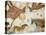 Cave of Lascaux, Ceiling of the Diverticulum: a Horse and Three Cows, C. 17,000 BC-null-Premier Image Canvas