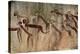 Cave Painting: Kolo Figures with Head-dresses-Sinclair Stammers-Premier Image Canvas