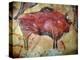 Cave Painting of Bison at Altamira-null-Premier Image Canvas