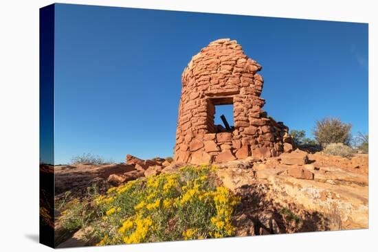 Cave Towers Ruins Cedar Mesa Bears Ears National Monument, Utah-Alan Majchrowicz-Premier Image Canvas