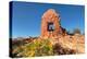 Cave Towers Ruins Cedar Mesa Bears Ears National Monument, Utah-Alan Majchrowicz-Premier Image Canvas