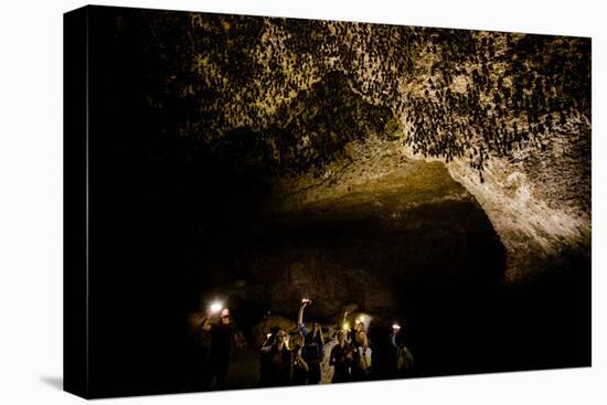 Cavers shining lamps on bats in Pokhara Bat Caves, Pokhara, Nepal, Asia-Laura Grier-Premier Image Canvas