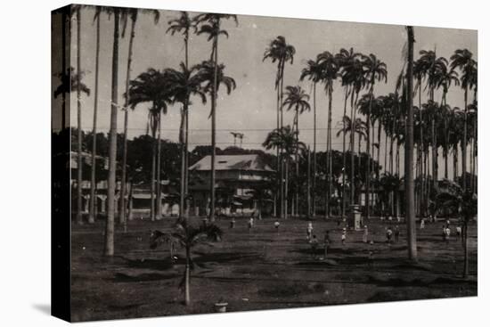 Cayenne. Place des Palmistes-null-Premier Image Canvas